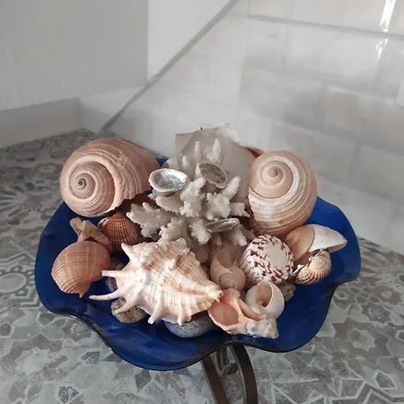 Small Home Of The Square Σπιτάκι Της Πλατείας *