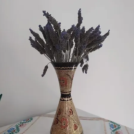 Apartment Small Home Of The Square Σπιτάκι Της Πλατείας Mesokhórion