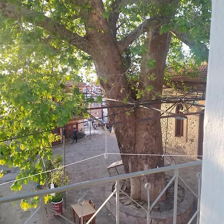 Apartment Small At The Plane Tree Of The Square Mesochorion (Evrytania)